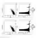 Fig. 35 - Increased In Vivo Circulation Time of Platelets After Storage With A Sialidase Inhibitor
