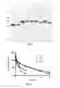 Fig. 02 - Factor VII Fusion Polypeptides