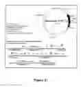 Fig. 18 - Chimeric polynucleotides and polypeptides enabling the secretion of a polypeptide of interest in combination with exosomes and uses thereof
