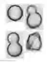 Fig. 02 - Synthetic amorphous silica powder and method for producing same