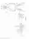 Fig. 02 - Vibrating orthodontic remodelling device
