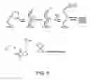 Fig. 05 - Cross-coupled peptide nucleic acids for detection of nucleic acids of pathogens