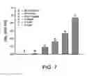 Fig. 07 - Cross-coupled peptide nucleic acids for detection of nucleic acids of pathogens