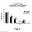 Fig. 08 - Cross-coupled peptide nucleic acids for detection of nucleic acids of pathogens