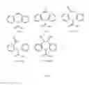 Fig. 02 - Sensitive and generic antibodies and multiple applications