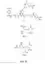 Fig. 08 - Three-dimensional cell adhesion matrix