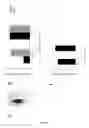 Fig. 07 - Direct protein delivery with engineered microvesicles