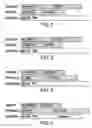 Fig. 02 - Ecdysone receptor-based inducible gene expression system