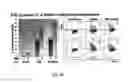 Fig. 41 - Culture Additives To Boost Stem Cell Proliferation And Differentiation Response
