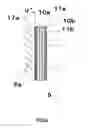 Fig. 06 - Local clean zone forming apparatus