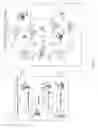 Fig. 02 - Communicatively coupling WLAN and femtocell networks utilizing a femtocell-to-WLAN network bridge and controller