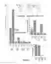 Fig. 02 - DEVICE FOR COLLECTING AND ANALYZING MIGRATORY TUMOR CELLS