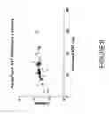 Fig. 07 - Methods for screening antibodies