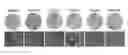 Fig. 01 - Use for scopolin and derivatives thereof