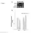 Fig. 06 - Use for scopolin and derivatives thereof