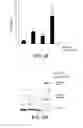 Fig. 22 - Method and compositions for treating cancer and related methods