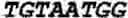 Fig. 05 - Aptamers to 4-1BB and Their Use in Treating Diseases and Disorders