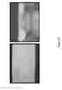 Fig. 09 - CEMENTITIOUS FOAM COMPOSITIONS