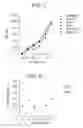 Fig. 02 - MULTI-COMPONENT CATALYST SYSTEMS FOR THE PRODUCTION OF REACTOR BLENDS OF POLYPROPYLENE