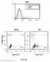 Fig. 03 - METHODS OF REDUCING TRAIL-INDUCED APOPTOSIS BY TRAIL ISOFORMS
