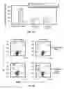 Fig. 06 - METHODS OF REDUCING TRAIL-INDUCED APOPTOSIS BY TRAIL ISOFORMS