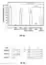 Fig. 07 - METHODS OF REDUCING TRAIL-INDUCED APOPTOSIS BY TRAIL ISOFORMS