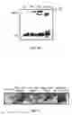 Fig. 16 - METHODS OF REDUCING TRAIL-INDUCED APOPTOSIS BY TRAIL ISOFORMS