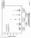 Fig. 17 - METHODS OF REDUCING TRAIL-INDUCED APOPTOSIS BY TRAIL ISOFORMS