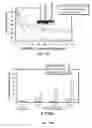 Fig. 22 - METHODS OF REDUCING TRAIL-INDUCED APOPTOSIS BY TRAIL ISOFORMS