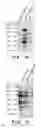 Fig. 04 - FOXO6 POLYCLONAL ANTIBODY AND METHOD FOR PREPARING THE SAME