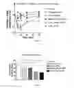 Fig. 02 - Compositions and methods for selective delivery of oligonucleotide molecules to specific neuron types