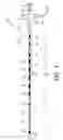 Fig. 02 - Multifunction feeding tube
