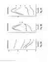 Fig. 03 - Electrical impedance myography