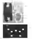 Fig. 02 - COMPRESSION DEVICE