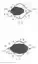 Fig. 08 - Stent with flaps