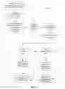Fig. 12 - PERSONALIZED PURCHASE OFFERS BASED ON ITEM-LEVEL TRANSACTION DATA FROM MULTIPLE SOURCES