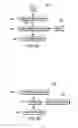 Fig. 03 - Lexical answer type confidence estimation and application