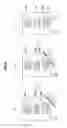 Fig. 06 - Information processing device, information processing method, and program