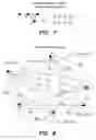 Fig. 09 - SYSTEM AND METHOD FOR OBTAINING PREFERENCES WITH A USER INTERFACE