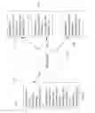Fig. 08 - Identification of over-constrained virtual machines