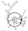 Fig. 01 - Steering wheel for a motor vehicle and process for producing a steering wheel