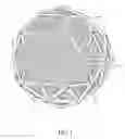 Fig. 02 - Finfish containment pens and polyhedral structures