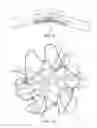 Fig. 10 - Finfish containment pens and polyhedral structures