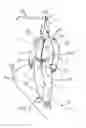 Fig. 02 - Tether Device And Method
