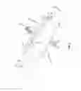 Fig. 04 - Brake