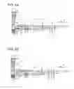 Fig. 04 - Power window switch