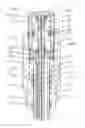 Fig. 01 - Combination electrode for ion concentration measurement