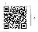 Fig. 02 - Multi-mode barcode resolution system