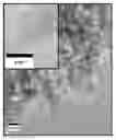 Fig. 01 - PHOTOLUMINESCENT NANOPARTICLES AND METHOD FOR PREPARATION