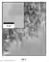 Fig. 10 - PHOTOLUMINESCENT NANOPARTICLES AND METHOD FOR PREPARATION